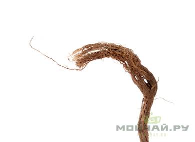 Красный корень Radices hedysarae theinae Копеечник сибирский