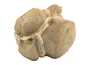 Декоративная окаменелость # 37019 камень септарии